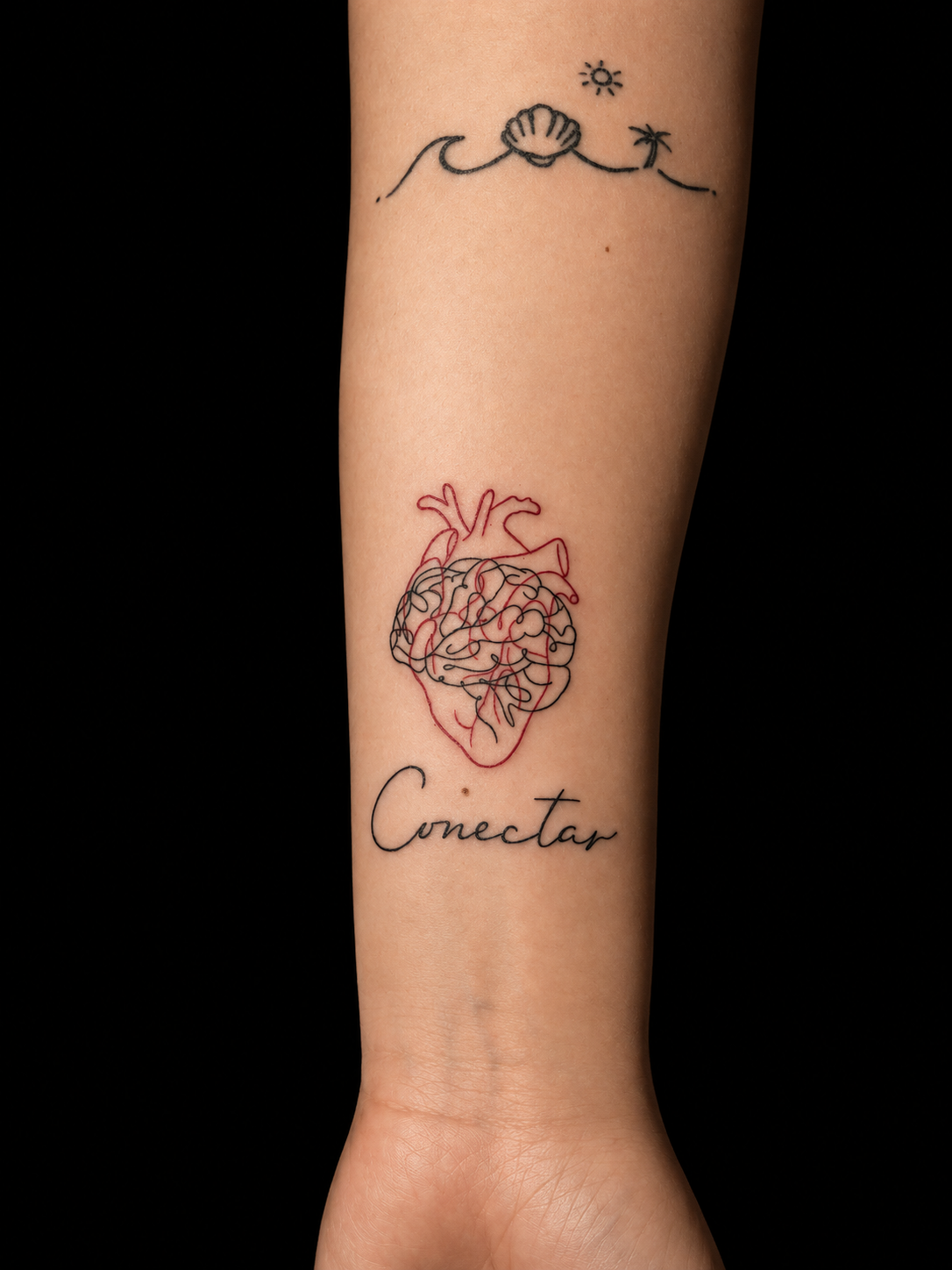 Conectar