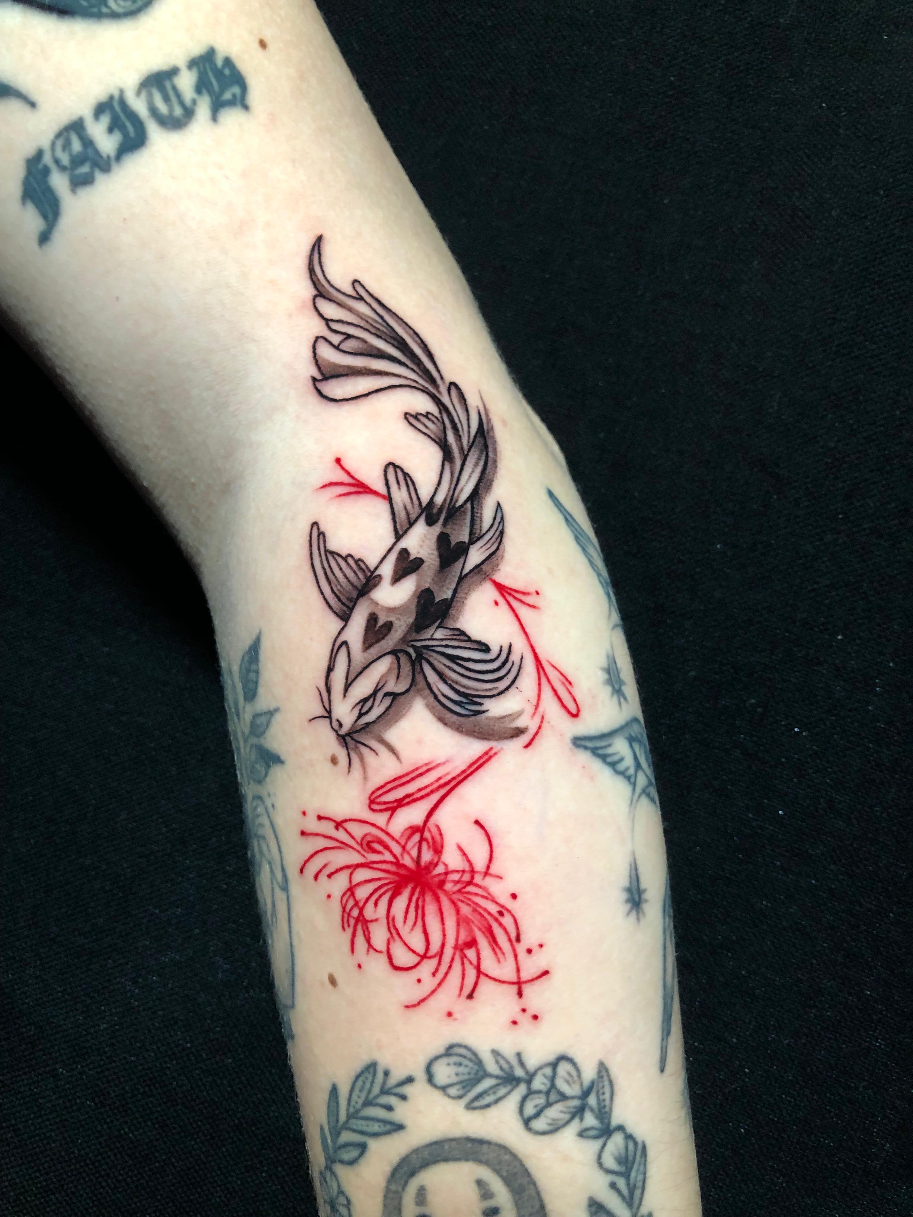 Koi Closeup